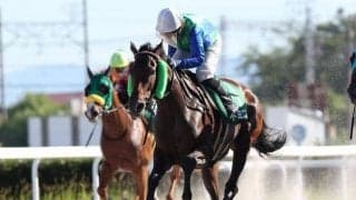 【笠松・クイーンC結果】ドミニクが捲りを決めて重賞2勝目