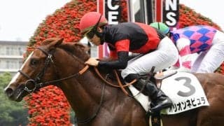 【新馬/阪神5R】松山「しぶとく伸びてくれた」オリオンネビュラがデビューV