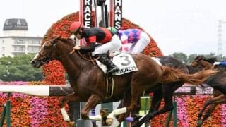 【新馬/阪神5R】イスラボニータ産駒 オリオンネビュラがデビューV