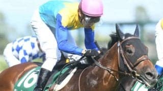 新種牡馬グレーターロンドンの産駒が初勝利　単勝1.1倍の圧倒的人気に応えて7馬身差圧勝