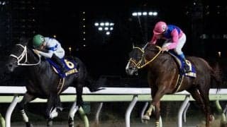 【帝王賞】メイショウハリオが交流G1初制覇！テーオーケインズは敗れる