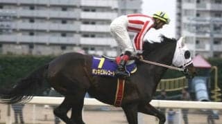 ボンネビルレコードが誘導馬を引退　帝王賞当日、9年間の誘導馬生活に幕引き