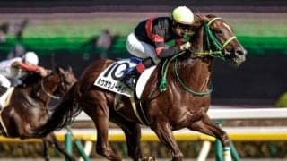 【ラジオNIKKEI賞予想】AIが指名したのは興味深い一頭 付け入る隙は十分にありそう！