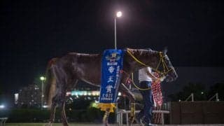 【帝王賞】岡田師「ハリオ号も自信に繋がる」メイショウハリオが交流G1初制覇