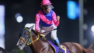 【帝王賞】浜中「理想通りのプラン」メイショウハリオが差し切りV