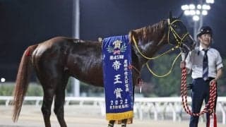【地方競馬】大井・帝王賞の売得金は35億6388万300円で対前年比82.9%