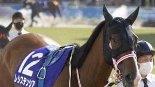 【JRA】レシステンシアが骨折 3か月以上の休養を要する見込み