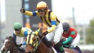 【POG】桜花賞馬を母に持つサトノミネルヴァが7/9か10に福島でデビュー 鞍上は菅原明良騎手