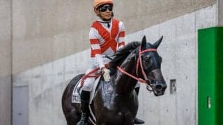 【CBC賞出走馬・騎手確定】アネゴハダ＆藤懸貴志騎手、タイセイビジョン＆川田将雅騎手など17頭