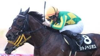 【ラジオNIKKEI賞出走馬・騎手確定】サトノヘリオス＆岩田望来騎手、ボーンディスウェイ＆石橋脩騎手など13頭