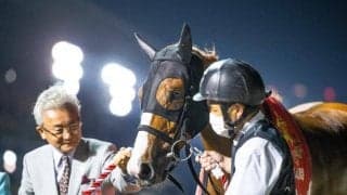【川崎・スパーキングレディーC出走予定馬】ショウナンナデシコ、サルサディオーネら