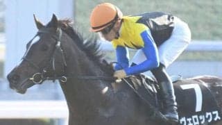 【JRA】ヴェロックス、ラブリイユアアイズが競走馬登録抹消 