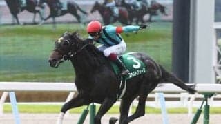 CBC賞はロードカナロア産駒で絞る。「連覇」か「重賞初制覇」か、良馬場で力を発揮する韋駄天２頭に期待