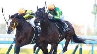 【ラジオNIKKEI賞枠順確定】サトノヘリオスは1枠1番、ボーンディスウェイは5枠6番