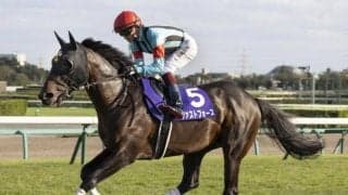 【CBC賞枠順確定】アネゴハダは1枠2番、ファストフォースは大外8枠17番