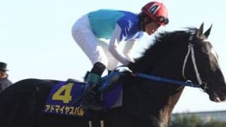 アドマイヤスバルが死亡 2009年白山大賞典覇者