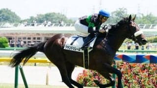 【新馬/東京5R】エピファネイア産駒 シャンドゥレールがデビューV