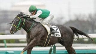【今日の注目ポイント】ローカル3場開催がスタート、新馬戦では新種牡馬の産駒が続々デビュー