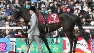 CBC賞は今年も高速決着か。穴党記者は高額配当が見込める「大穴」牝馬２頭をオススメ