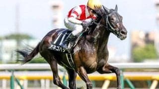 【CBC賞予想】アネゴハダは反則級!? 妙味ある穴馬は「1200mベスト」で上位争い必至