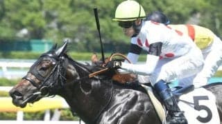 ファインニードル産駒がJRA初勝利 小倉1RでウメムスビがV