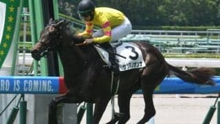 【小倉5R新馬戦結果】サツマノオンナが6馬身差で逃げ切り九州産馬限定戦を制す