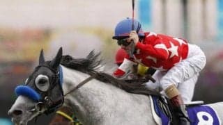 レッドファルクス産駒がJRA初勝利 福島5Rでナックブレイブがデビュー勝ち