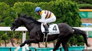 【函館6R新馬戦結果】ニシノシークレットが逃げ切って人気に応える