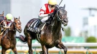 【CBC賞予想】軽量馬は「苦戦」傾向。距離短縮が更にマイナスの可能性も…