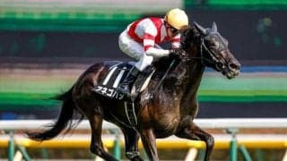 【CBC賞前日オッズ】アネゴハダが4.1倍で1番人気、今村聖奈騎手騎乗テイエムスパーダが続く