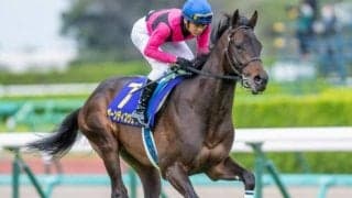 【ラジオNIKKEI賞予想】飛躍のきっかけ掴みたい3歳馬が覇を競う