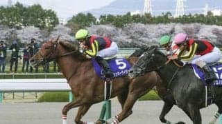 ラッキーライラックの全弟シリンガバルガリス。厩舎スタッフは「能力を感じる」とべた褒め