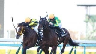 【ラジオNIKKEI賞予想】狙うは馬番1-4に入った人気薄タイプ？ 逆にズバッと消したいのは何枠の馬？