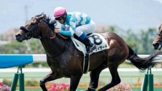 ビーチパトロール産駒がJRA初勝利 函館5Rでシーウィザードが新馬勝ち