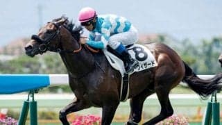 【函館5R新馬戦結果】シーウィザードが逃げ切りビーチパトロール産駒のJRA初V