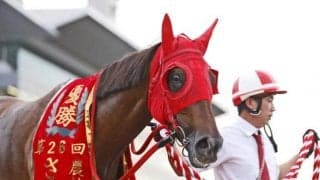 【川崎・スパーキングレディーC枠順確定】ショウナンナデシコは8枠10番、サルサディオーネは1枠1番