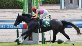 【CBC賞】今村聖奈が重賞初騎乗、初制覇！テイエムスパーダで逃げ切る