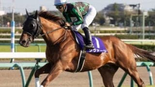 【次走】昨年末から休養のシヴァージはUHB賞で復帰 その後は状態を見てキーンランドC参戦予定