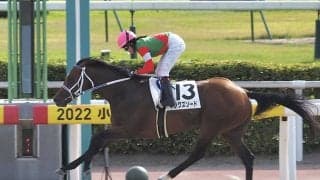 【小倉12R】今村聖奈 キングズソードが4馬身差圧勝