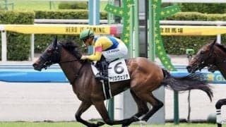 【新馬/小倉5R】キズナ産駒 アリスヴェリテがデビューV