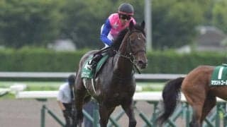 JRAで七夕賞とプロキオンS、英ジュライCにキングエルメス出走など/今週の競馬界の見どころ