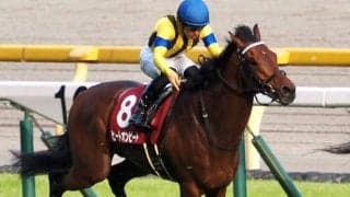 【七夕賞登録馬】ヒートオンビートなど17頭