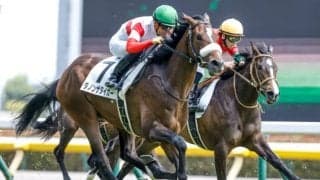【次走】3億円馬ダノンザタイガーの2走目は8月13日 ルメール騎手との新コンビで初勝利目指す