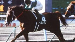重賞2勝馬メジロマイヤーが23歳で死亡　当時の重賞最長間隔勝利記録を達成、川田将雅騎手重賞初制覇のパートナー
