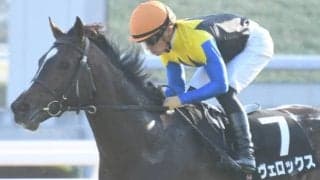 【先週のJRA抹消馬】ステイヤーズS覇者リッジマン、2019年牡馬三冠好走のヴェロックス、阪神JF2着ラブリイユアアイズなど