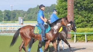 重賞3勝馬ユーキャンスマイルの半妹アップトゥミーがデビュー/関東馬メイクデビュー情報
