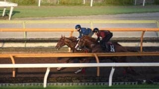 GI4勝馬ラッキーライラックの全弟 シリンガバルガリスがデビュー/関西馬メイクデビュー情報