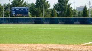 大量のバットぶん投げ、土に“お絵かき”…監督の大暴れ退場が「面白すぎる」