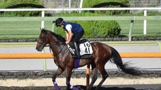 【七夕賞想定騎手】ヒートオンビートは池添謙一騎手、アンティシペイトは武藤雅騎手