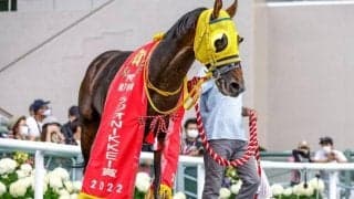 ピクシーナイトの半弟 フェーングロッテンが控える競馬に戻して連勝